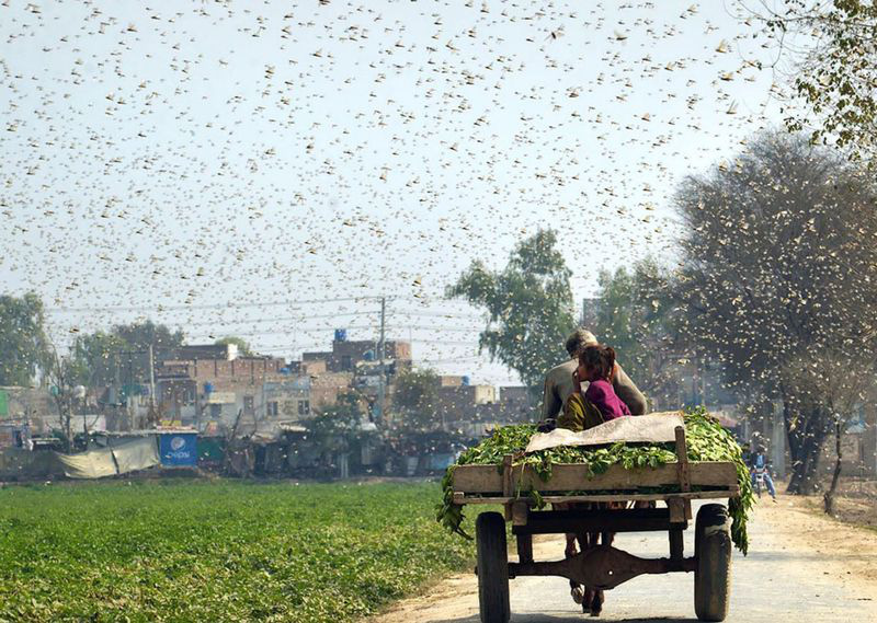 Trung Quốc sắp tung "đội quân" đặc biệt sang Pakistan