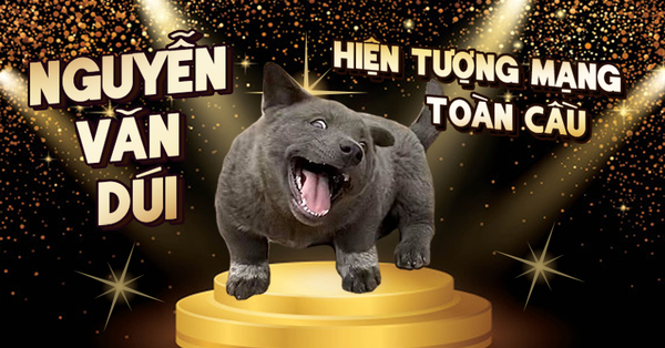Ch&oacute; D&uacute;i ở Việt Nam g&acirc;y b&atilde;o mạng x&atilde; hội quốc tế - Ảnh 1.