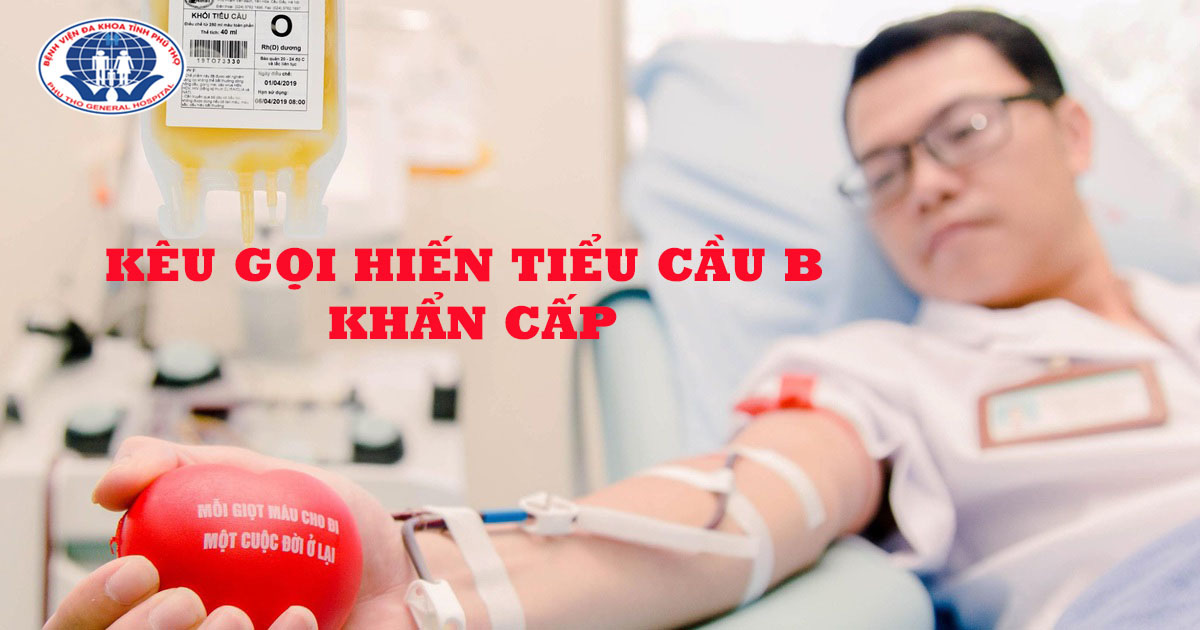 Kho m&aacute;u lớn nhất miền Bắc chỉ c&ograve;n gần 6.000 đơn vị - Ảnh 3.