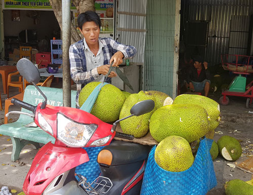 Nông sản miền Tây rớt giá thê thảm
