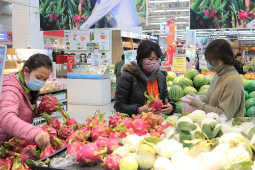 Tìm giải pháp tiêu thụ 90.000 tấn thanh long