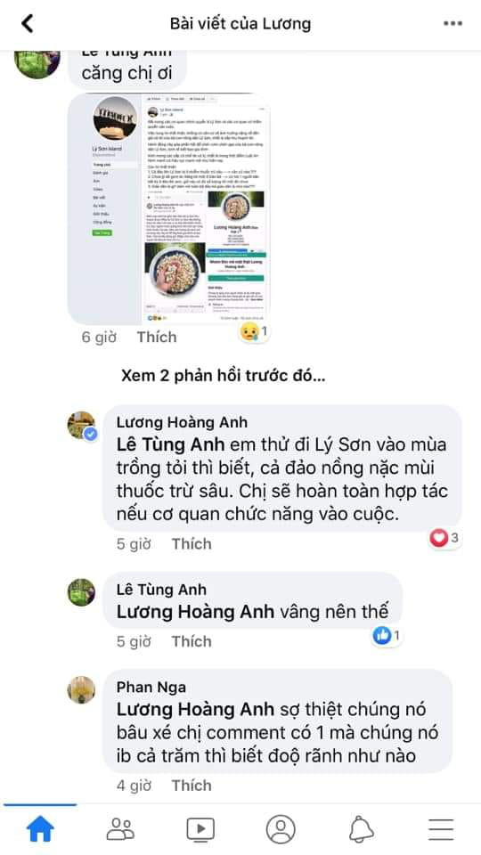 Đến lượt doanh nh&acirc;n Lương Ho&agrave;ng Anh bị chỉ tr&iacute;ch v&igrave; tung tin sai về tỏi c&ocirc; đơn - Ảnh 2.