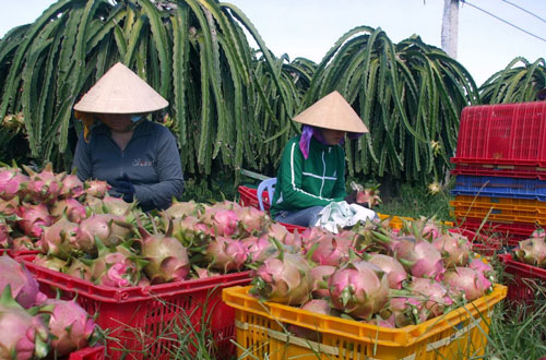 Không đầu hàng khó khăn