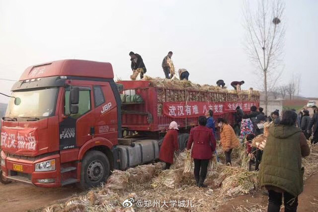 B&aacute;t phương chi viện cho Vũ H&aacute;n - Ảnh 4.
