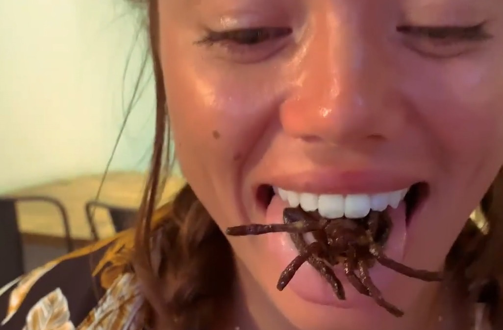 Quán phục vụ món nhện tarantula và côn trùng