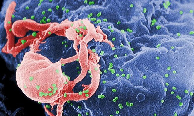 9 virus nguy hiểm tr&ecirc;n tr&aacute;i đất - Ảnh 4.