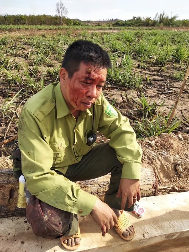 Lâm tặc manh động, vây đánh kiểm lâm toác đầu