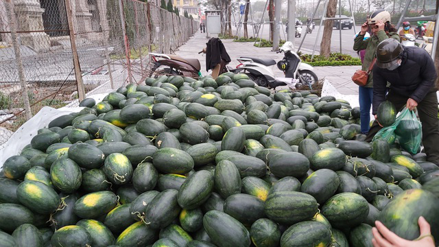 Dân Hà Nội đổ xô mua dưa hấu giải cứu nông dân các tỉnh phía Nam