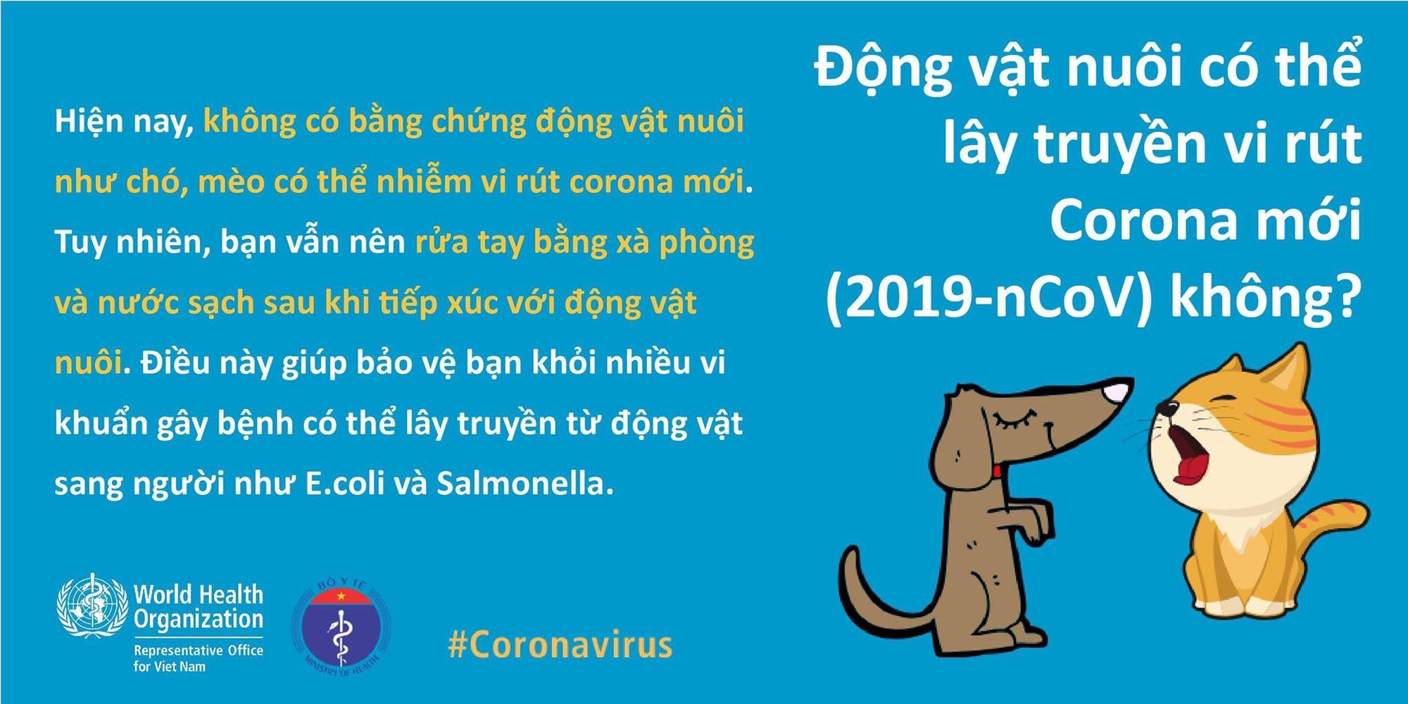 Bộ Y tế v&agrave; WHO giải đ&aacute;p thắc nhận bưu phẩm, thư t&iacute;n c&oacute; l&acirc;y nhiễm virus corona hay kh&ocirc;ng - Ảnh 1.