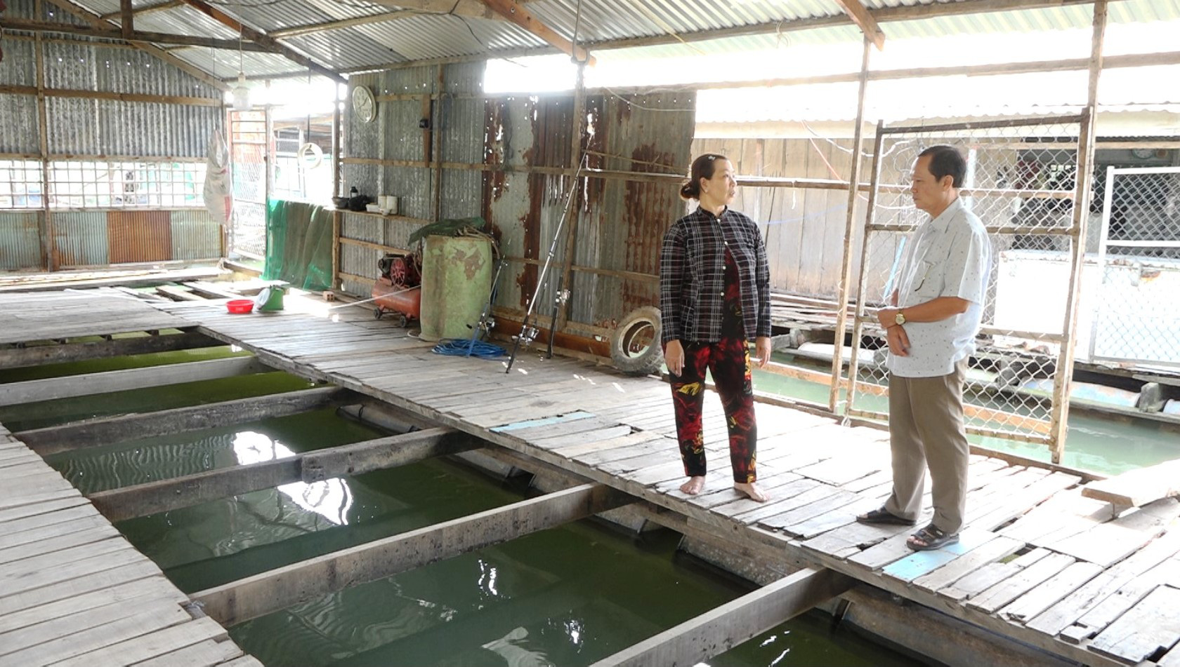 Dân đứng ngồi không yên, vội di dời bè do cá chết hàng loạt - Ảnh 3.
