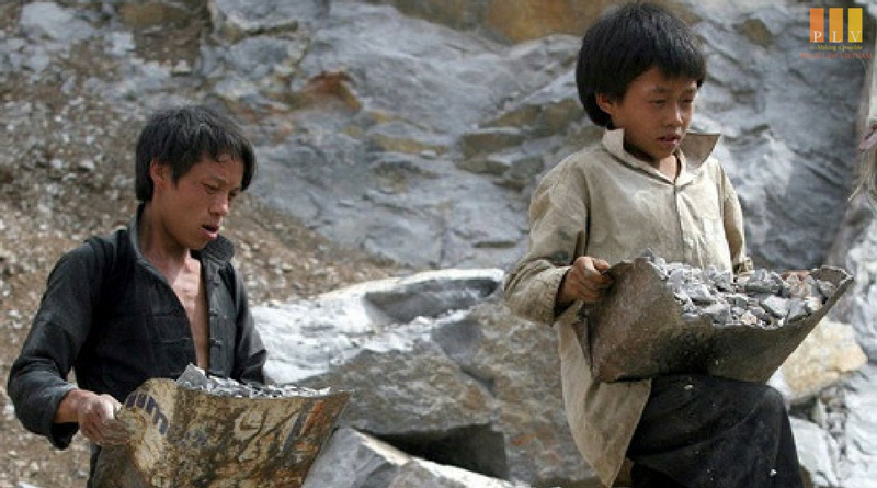 520.000 trẻ em làm việc nặng nhọc, độc hại, nguy hại
