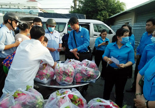 Tiền Giang: Hỗ trợ nông dân tiêu thụ trái cây do ảnh hưởng dịch nCoV