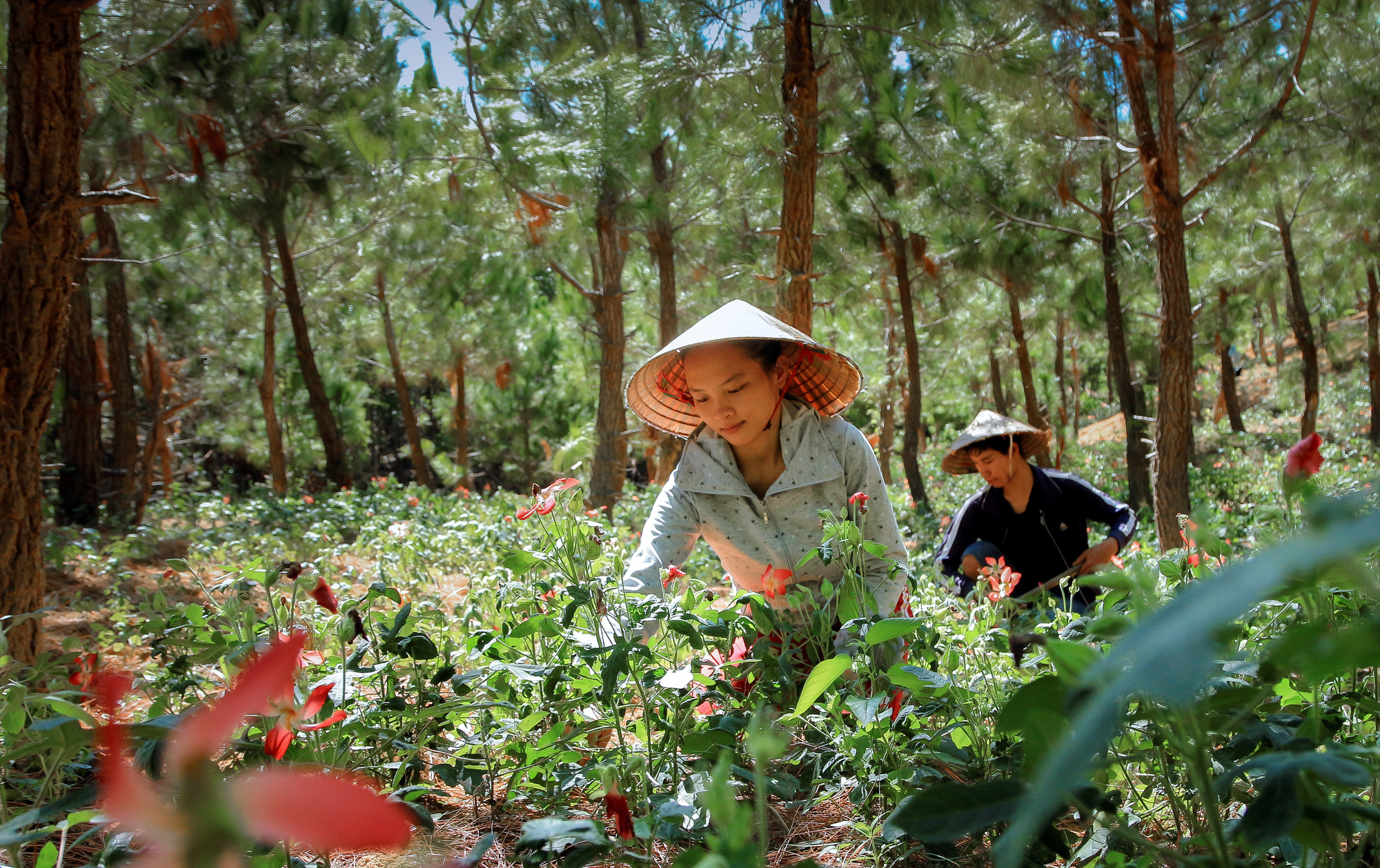 Sống lại một v&ugrave;ng s&acirc;m - Ảnh 2.