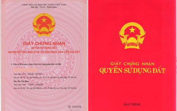 15 trường hợp được cấp Sổ đỏ vào năm 2020 - Ảnh 1.
