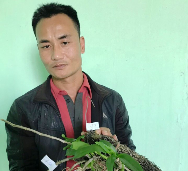 Bắt nhóm đối tượng trộm vườn lan đột biến tiền tỉ khiến ông chủ nhập viện cấp cứu
