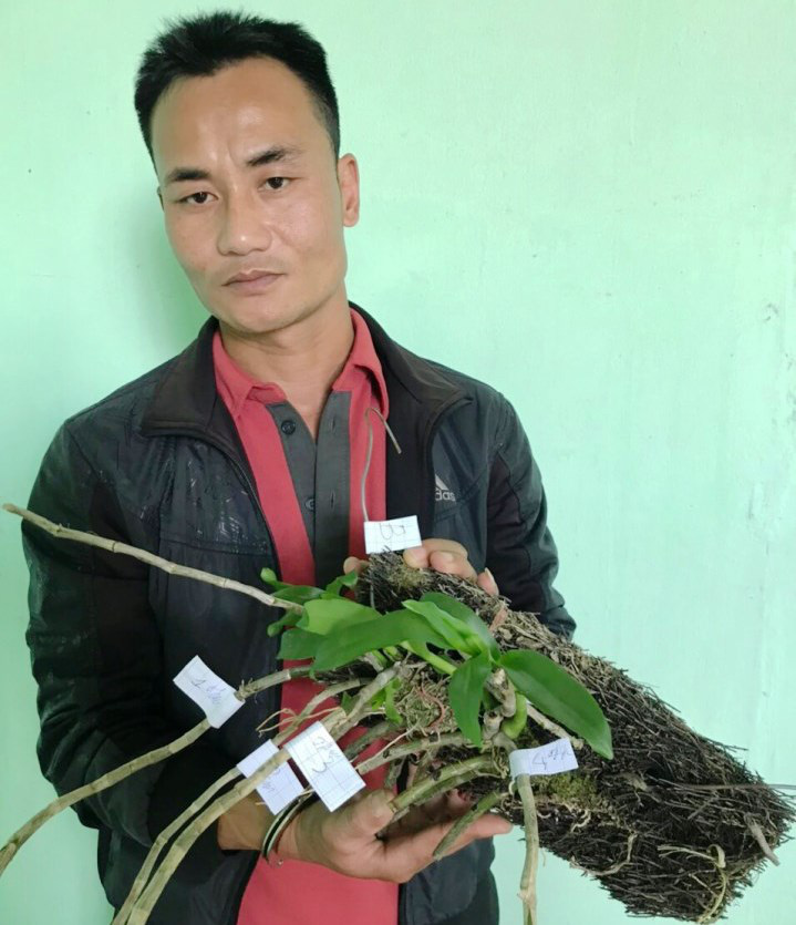 Bắt nh&oacute;m đối tượng trộm vườn lan đột biến tiền tỉ khiến &ocirc;ng chủ nhập viện cấp cứu - Ảnh 1.