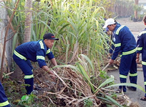 200 ngày thi đua chào mừng Đại hội Đảng bộ các cấp