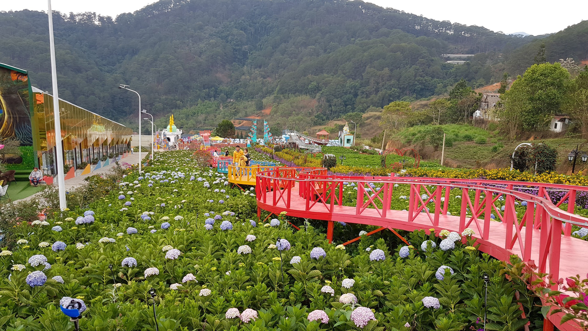 Cận cảnh vườn thượng uyển bay khổng lồ kh&ocirc;ng ph&eacute;p ngay cửa ng&otilde; Đ&agrave; Lạt - Ảnh 9.