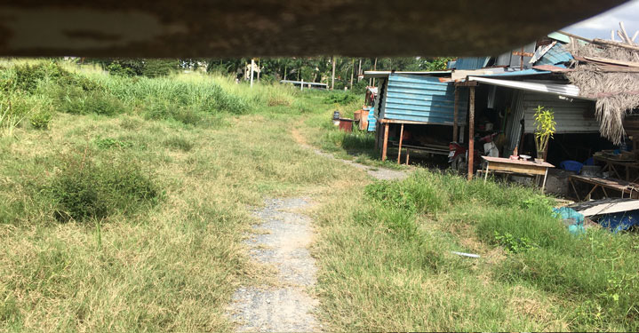 Gi&aacute;m đốc Sở TN-MT TP HCM: R&agrave; so&aacute;t, thu hồi h&agrave;ng trăm hecta đất - Ảnh 2.