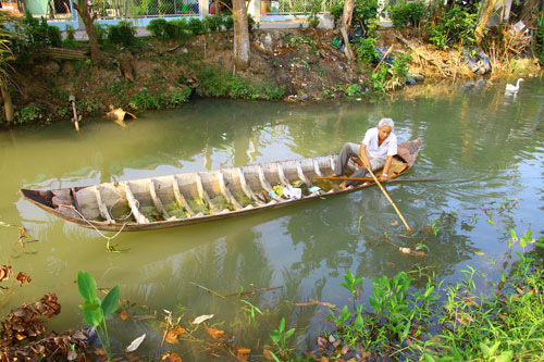 Miệt mài cứu rạch Kiều Hạ