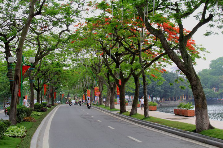Con đường thanh xuân