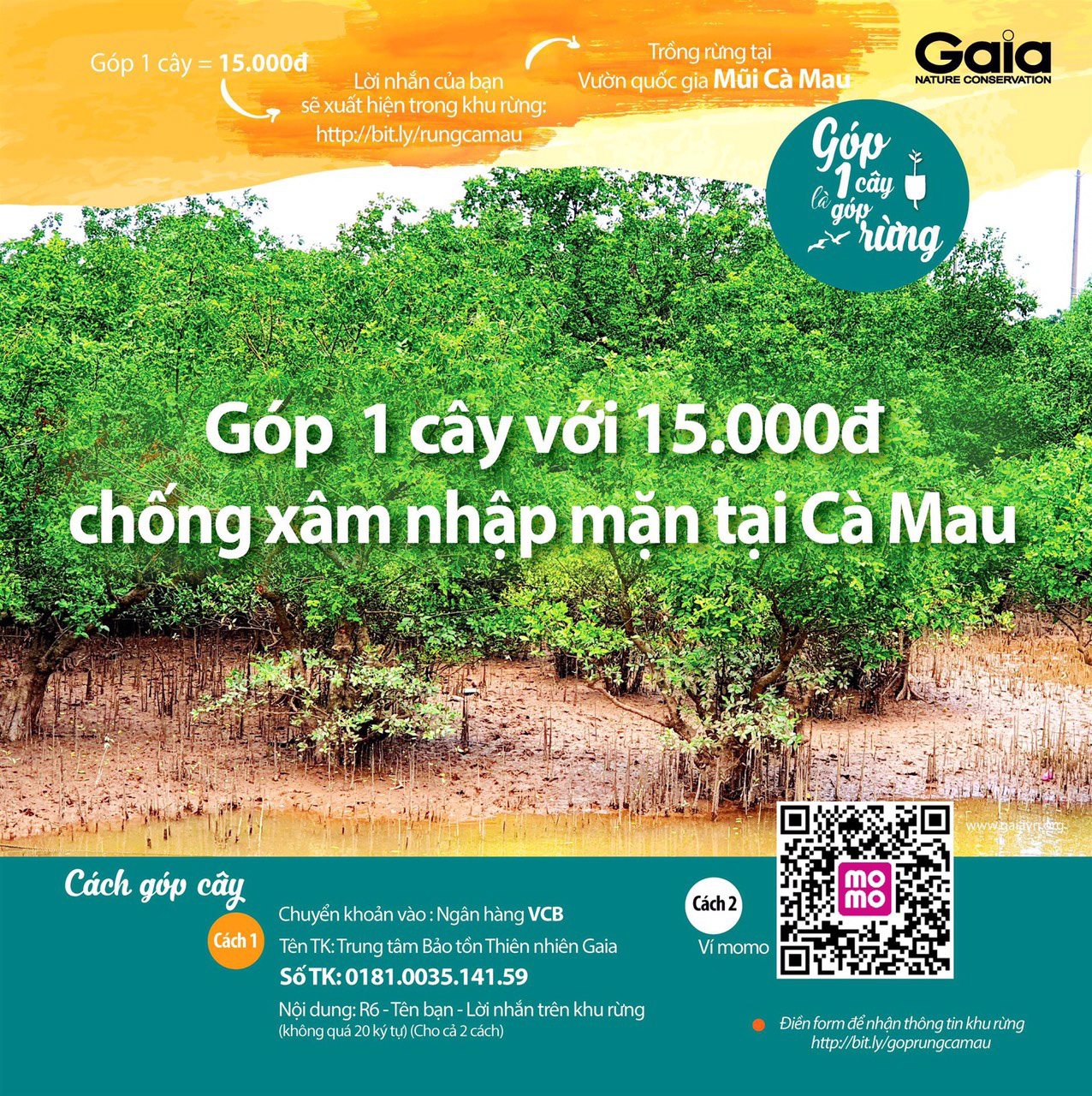 Chủ tịch Cà Mau chỉ đạo làm rõ việc vận động trồng rừng chống xâm nhập mặn