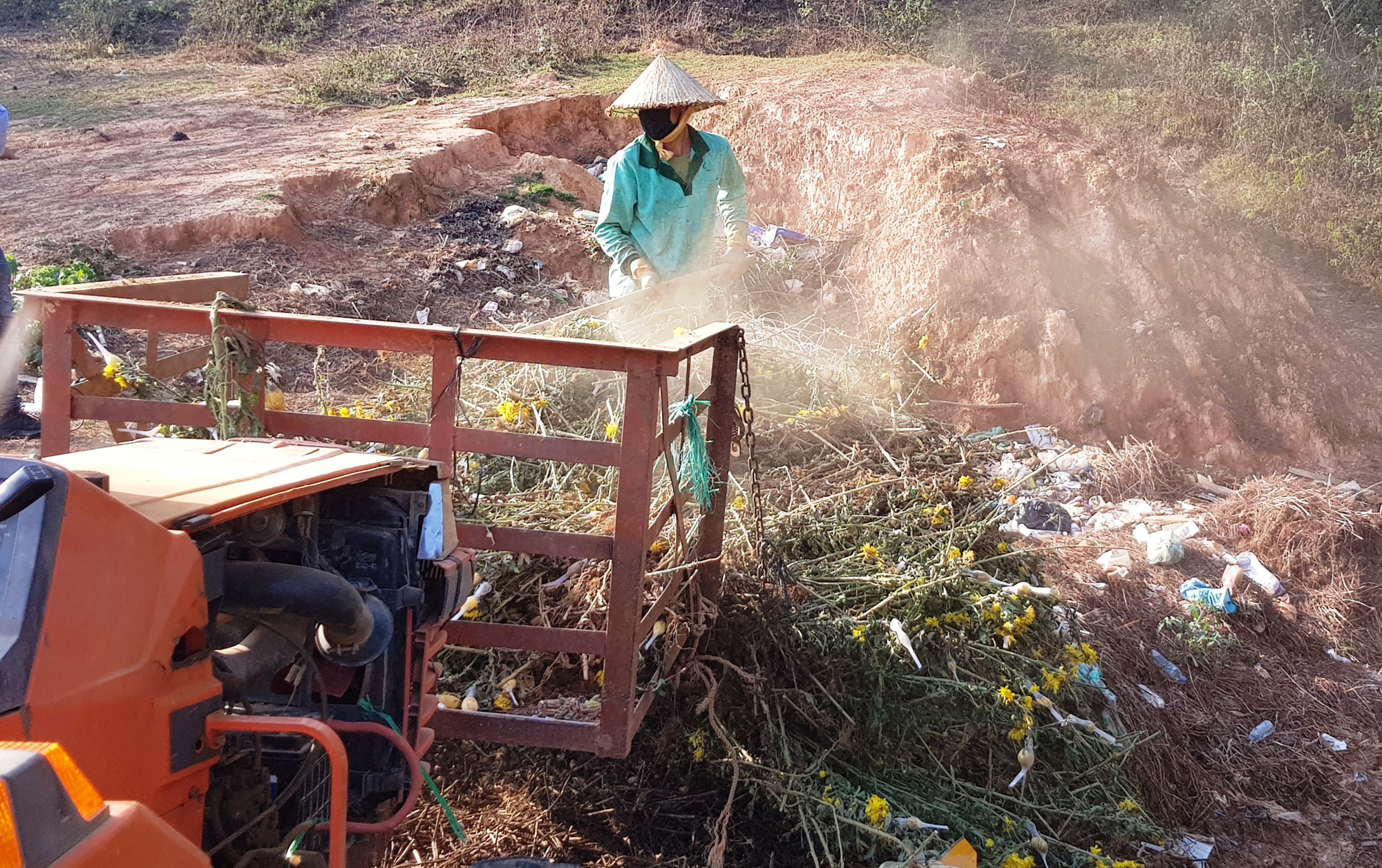 N&ocirc;ng d&acirc;n Đ&agrave; Lạt x&oacute;t xa nhổ bỏ cả c&aacute;nh đồng hoa c&uacute;c v&igrave; b&aacute;n chẳng ai mua - Ảnh 1.
