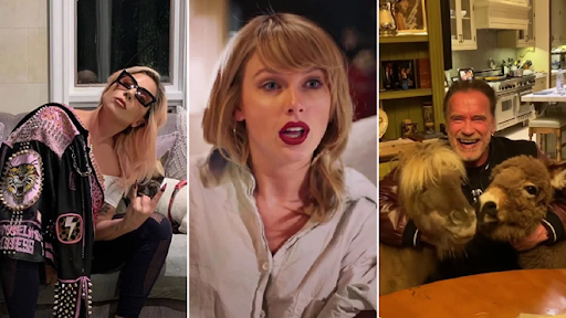 "Kẻ hủy diệt" Arnold và Lady Gaga, Taylor Swift... bày kế "trị" Covid-19