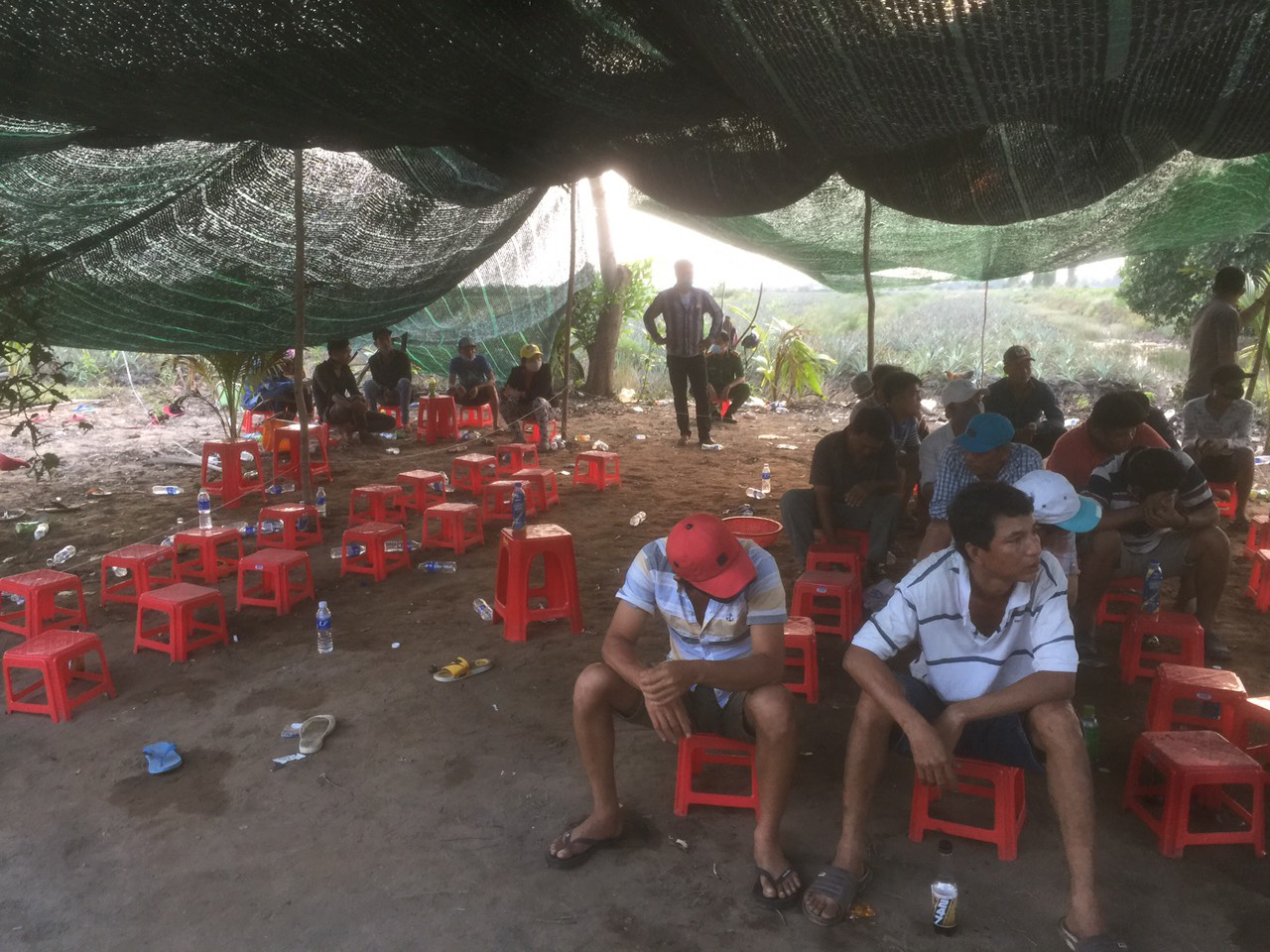 Cảnh sát Tiền Giang nổ súng phá trường gà, bắt giữ 54 người