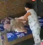 Đi đâu để tránh bạo hành?