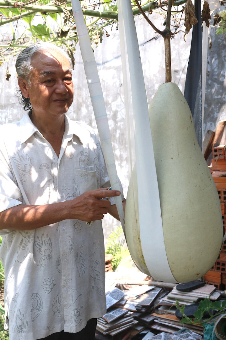 Lạ l&ugrave;ng những tr&aacute;i bầu si&ecirc;u to, khổng lồ nặng từ 15-30 kg - Ảnh 1.