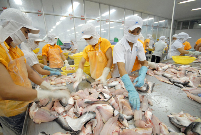 Doanh nghiệp thủy sản nỗ lực giữ việc làm cho công nhân