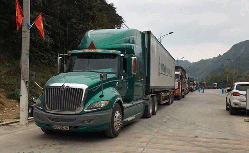 Trung Quốc đ&atilde; nhập hơn 15.000 tấn n&ocirc;ng sản Việt chỉ trong nửa th&aacute;ng - Ảnh 1.