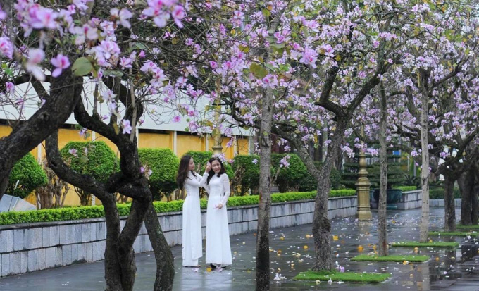 Hoa tháng Ba