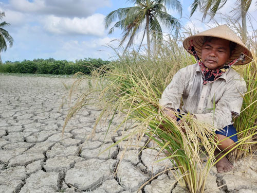 Đưa nước sang cứu miền Tây?