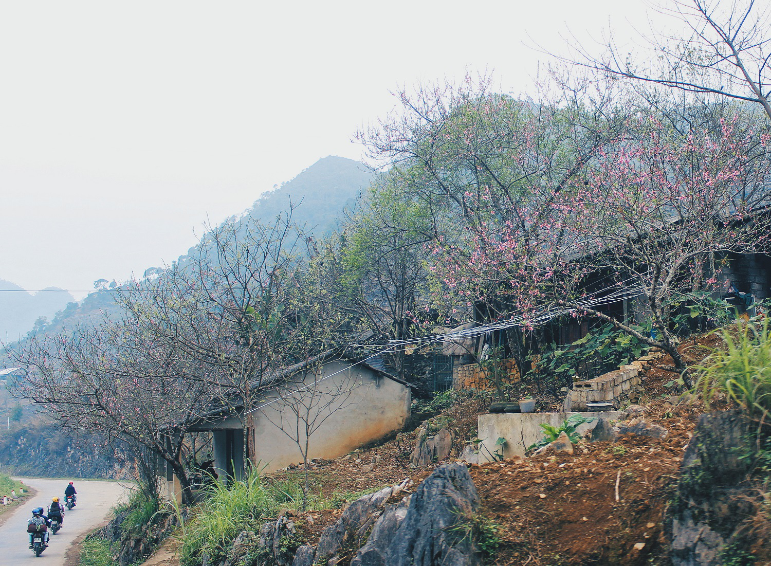 Du xuân Hà Giang, gieo mình giữa bạt ngàn hoa - Ảnh 4.