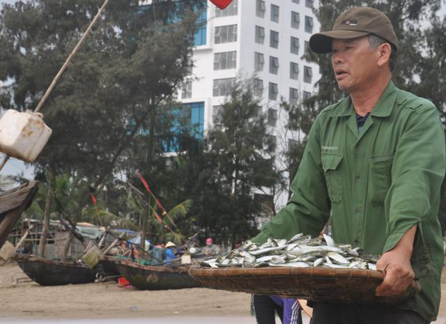 Nhiều người dậy thật sớm rủ nhau ra biển bắt hàng tấn cá trích - Ảnh 6.