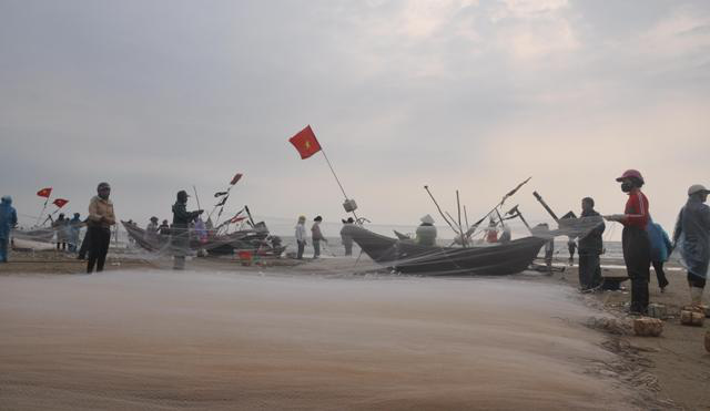 Nhiều người dậy thật sớm rủ nhau ra biển bắt hàng tấn cá trích - Ảnh 1.