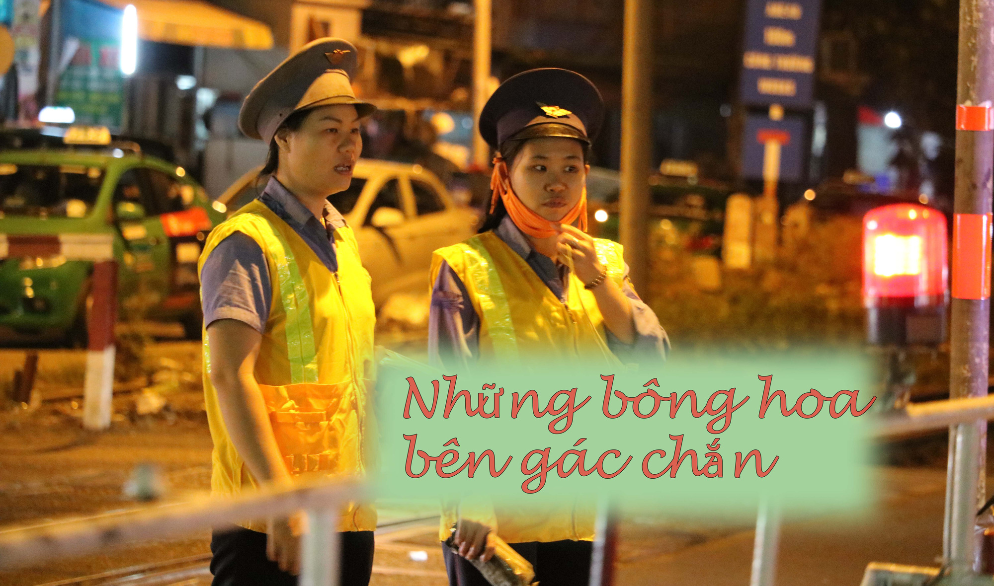 Những bông hoa bên rào chắn xe lửa