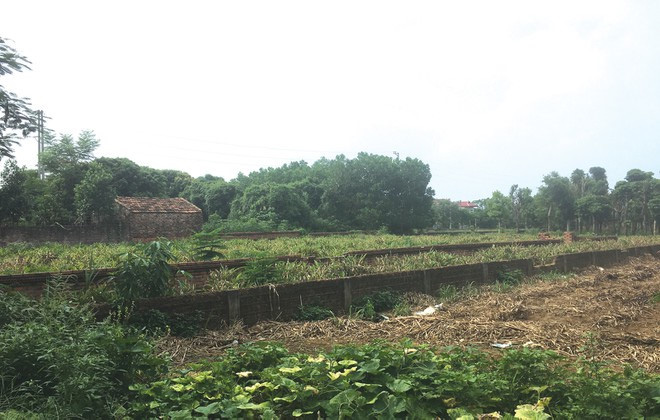 Mua b&aacute;n tr&aacute;i ph&eacute;p đất xen kẹt: Chế t&agrave;i mới vẫn kh&oacute; dẹp - Ảnh 1.
