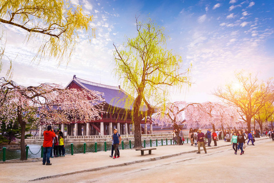 Hủy tour đi Hàn Quốc vì Covid-19 có được hoàn phí 100%?