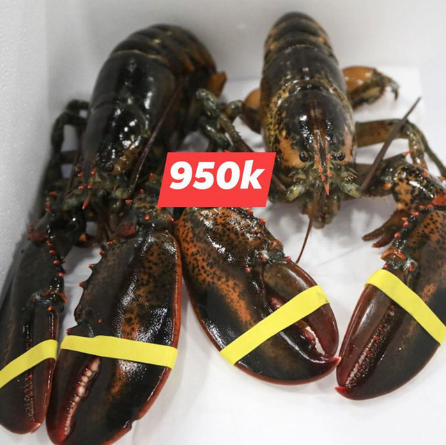 Nh&agrave; h&agrave;ng hạ gi&aacute; t&ocirc;m h&ugrave;m xanh 169.000 đồng/con, t&ocirc;m Alaska 700.000 đồng/kg - Ảnh 2.
