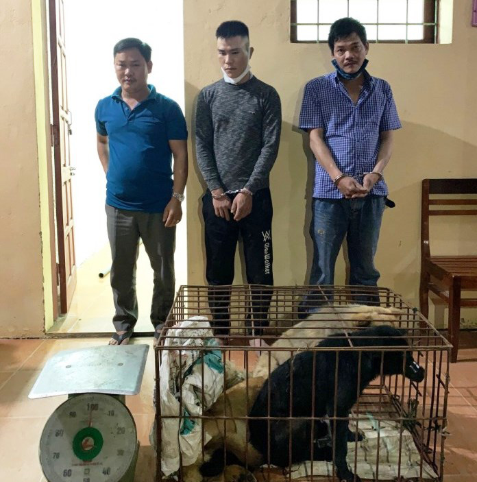 Bắt băng nh&oacute;m chuy&ecirc;n trộm ch&oacute; tung ho&agrave;nh khu vực bắc Quảng B&igrave;nh - Ảnh 1.
