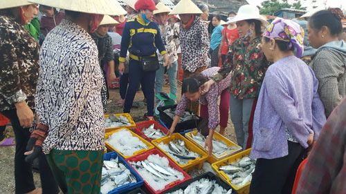 Nhọc nhằn "đưa biển lên rừng"