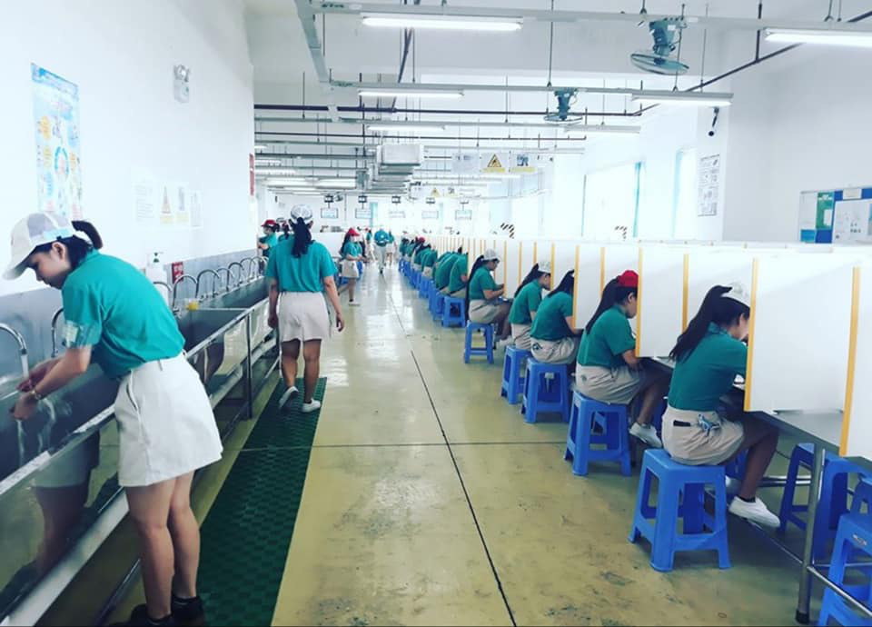 TP HCM: Lấy 1.600 mẫu xét nghiệm Covid-19 trong công nhân