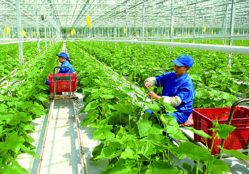 Những chính sách lao động nông nghiệp của Đài Loan cần lưu ý