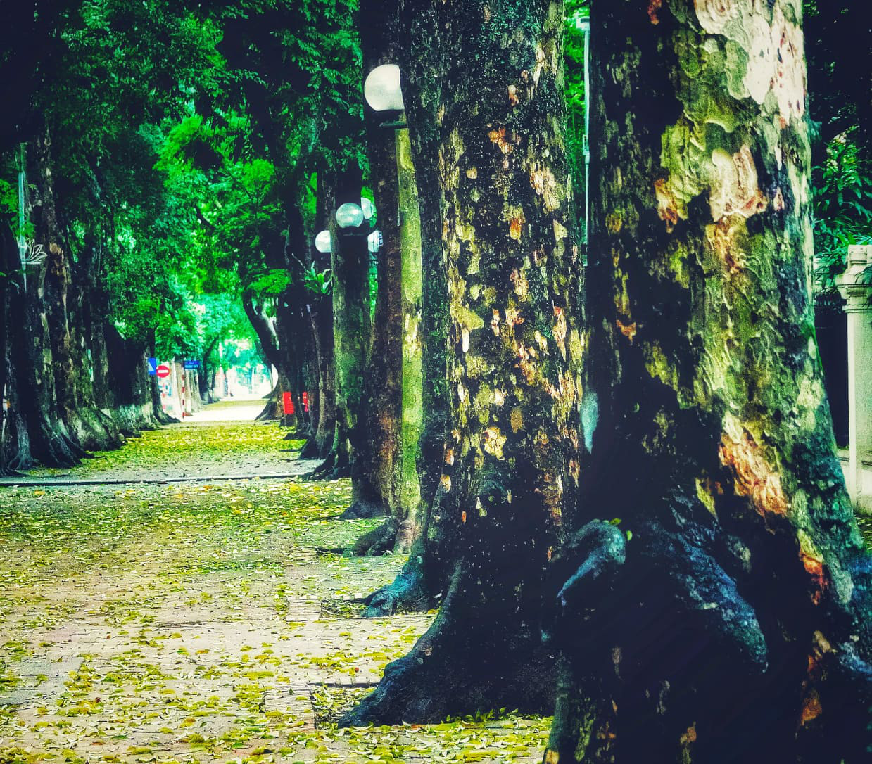 Hà Nội những mùa nhớ
