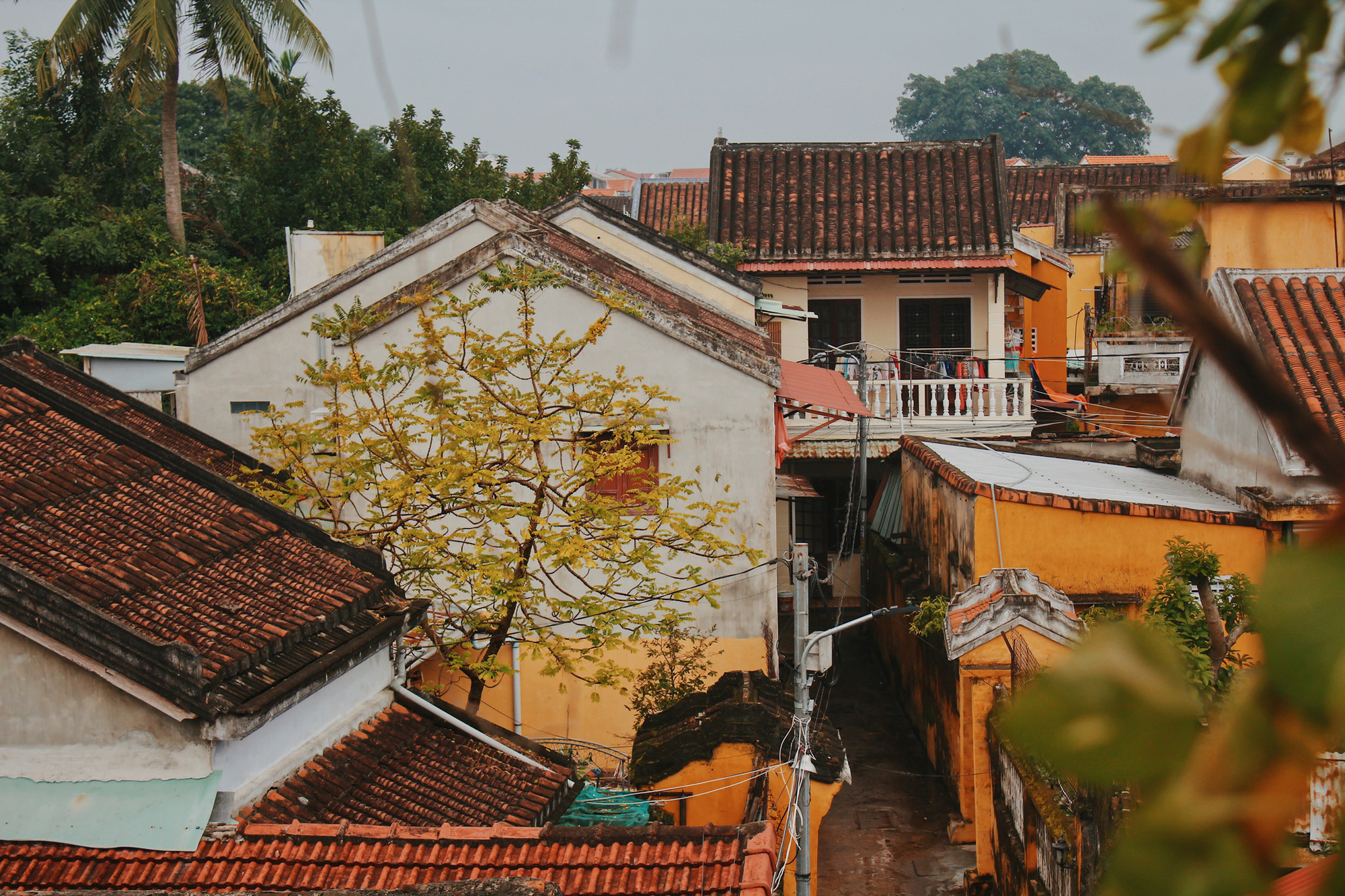 Những khoảnh khắc b&igrave;nh y&ecirc;n đ&uacute;ng nghĩa ở Đ&agrave; Nẵng, Hội An - Ảnh 9.