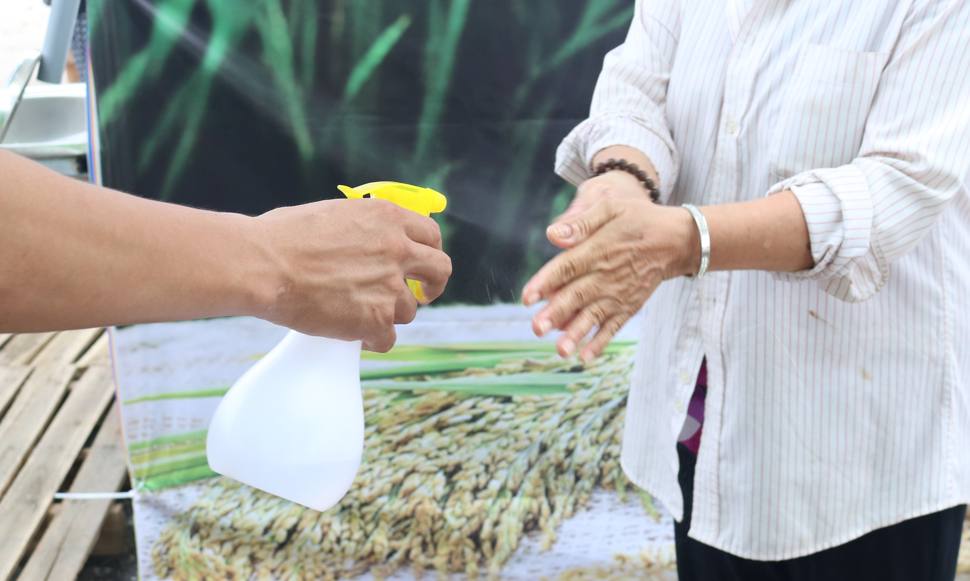 ATM gạo li&ecirc;n tục tu&ocirc;n chảy giữa những ng&agrave;y kh&oacute; khăn - Ảnh 1.