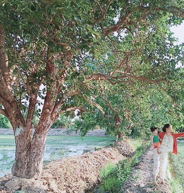 Về miền T&acirc;y thưởng thức tr&aacute;i rừng m&agrave;u t&iacute;m c&oacute; vị ngọt xen lẫn chua, ch&aacute;t - Ảnh 2.